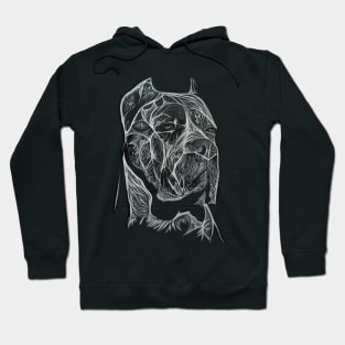 Cane Corso Painting Hoodie